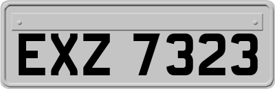 EXZ7323