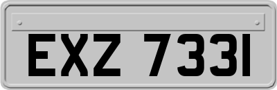 EXZ7331