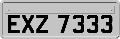 EXZ7333