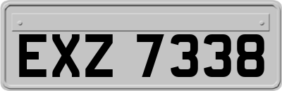 EXZ7338