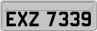 EXZ7339