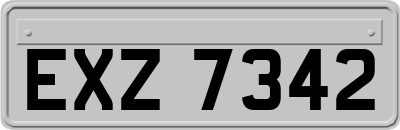 EXZ7342
