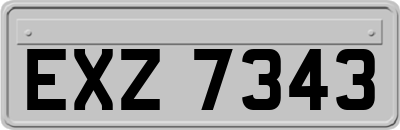 EXZ7343