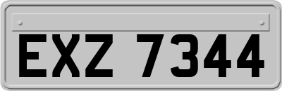 EXZ7344