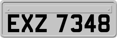 EXZ7348