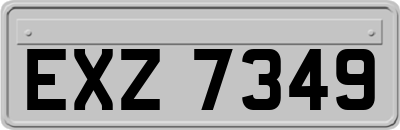 EXZ7349