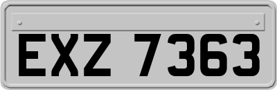 EXZ7363