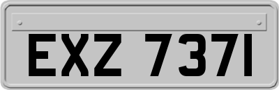 EXZ7371