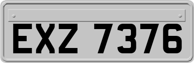 EXZ7376