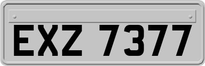 EXZ7377