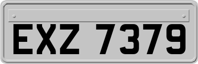 EXZ7379