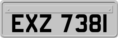 EXZ7381