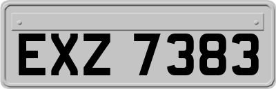 EXZ7383