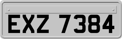 EXZ7384