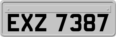 EXZ7387