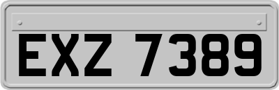 EXZ7389