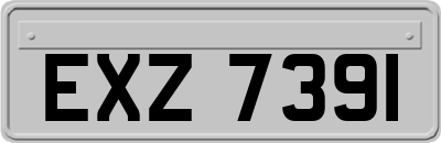 EXZ7391
