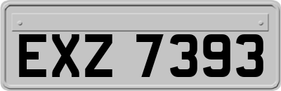 EXZ7393