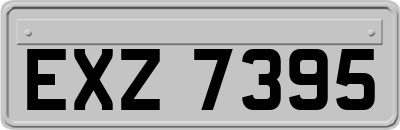 EXZ7395