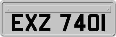 EXZ7401