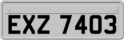 EXZ7403