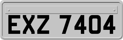 EXZ7404