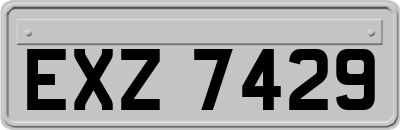 EXZ7429