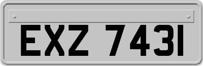 EXZ7431