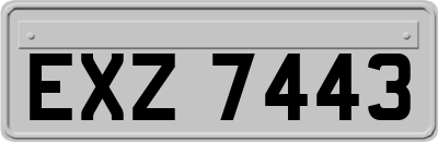 EXZ7443