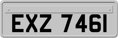 EXZ7461