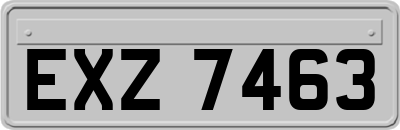 EXZ7463