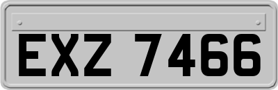 EXZ7466