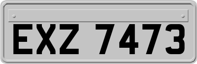 EXZ7473