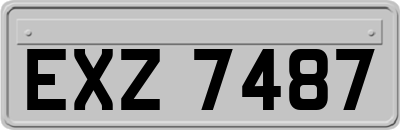 EXZ7487