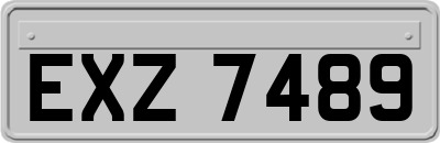 EXZ7489