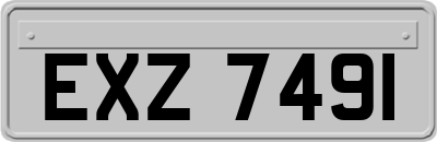 EXZ7491