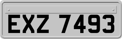 EXZ7493