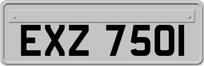 EXZ7501