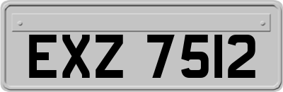EXZ7512