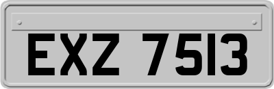EXZ7513