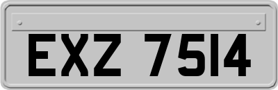 EXZ7514