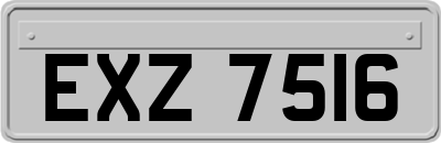 EXZ7516