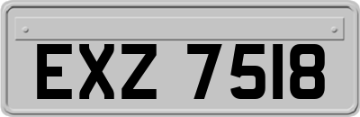 EXZ7518