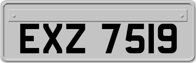EXZ7519