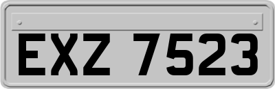 EXZ7523