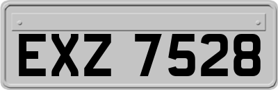EXZ7528