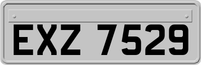 EXZ7529