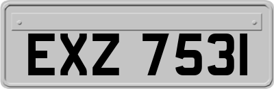 EXZ7531