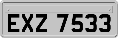 EXZ7533