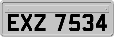 EXZ7534